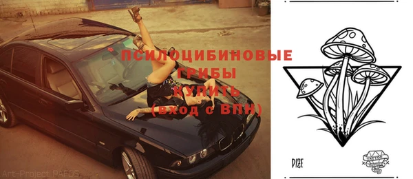 спиды Сосновоборск