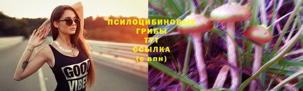 а пвп мука Кропоткин